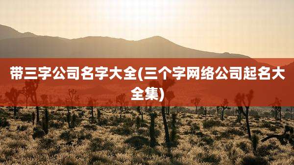 带三字公司名字大全(三个字网络公司起名大全集)