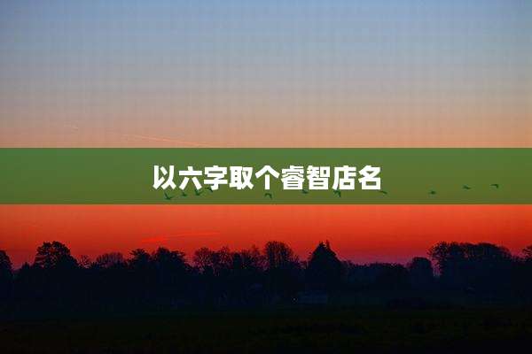以六字取个睿智店名