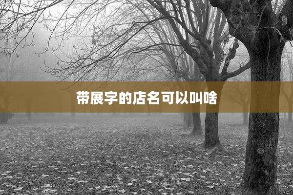 带展字的店名可以叫啥