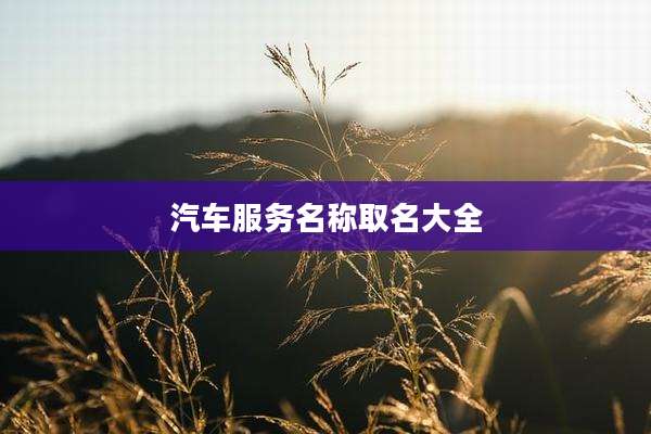 汽车服务名称取名大全