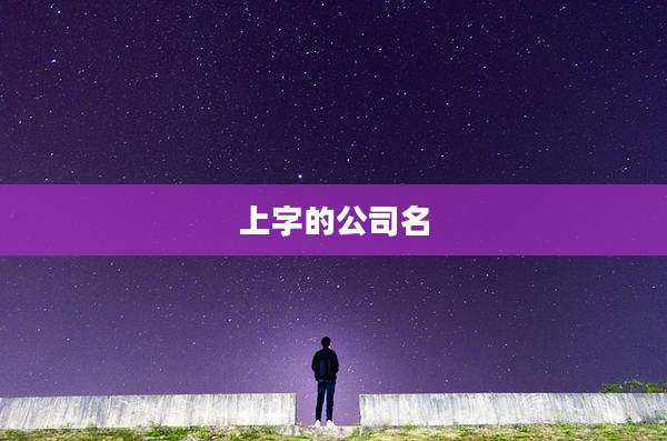 上字的公司名