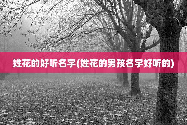 姓花的好听名字(姓花的男孩名字好听的)