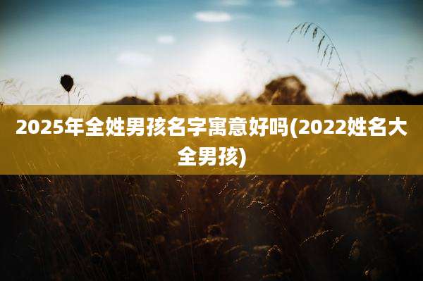 2025年全姓男孩名字寓意好吗(2022姓名大全男孩)