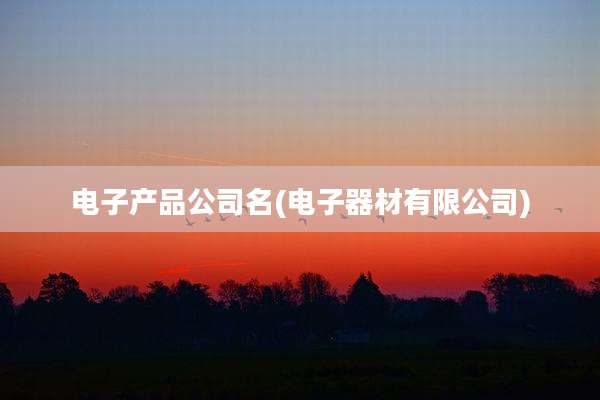 电子产品公司名(电子器材有限公司)