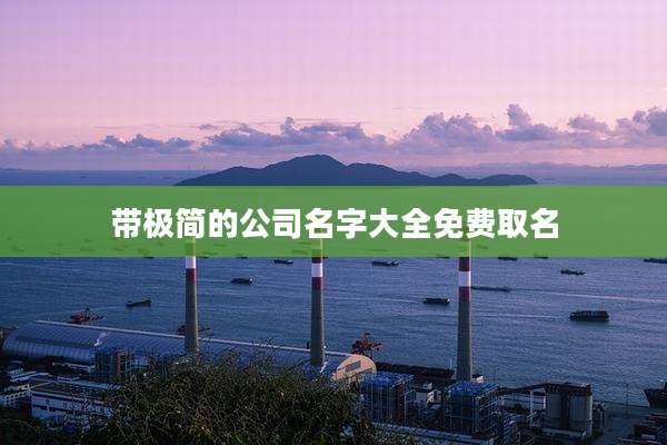 带极简的公司名字大全免费取名