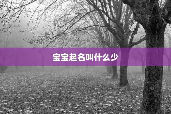 宝宝起名叫什么少