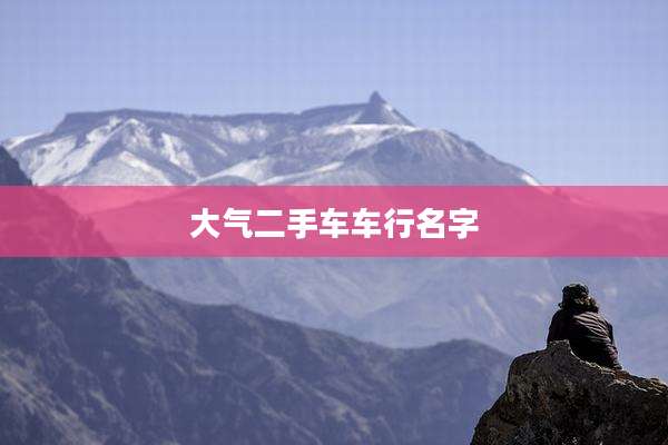 大气二手车车行名字