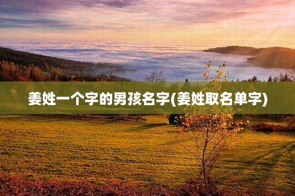 姜姓一个字的男孩名字(姜姓取名单字)