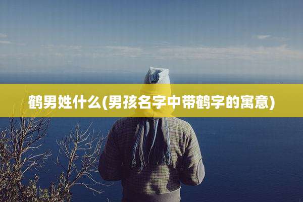 鹤男姓什么(男孩名字中带鹤字的寓意)