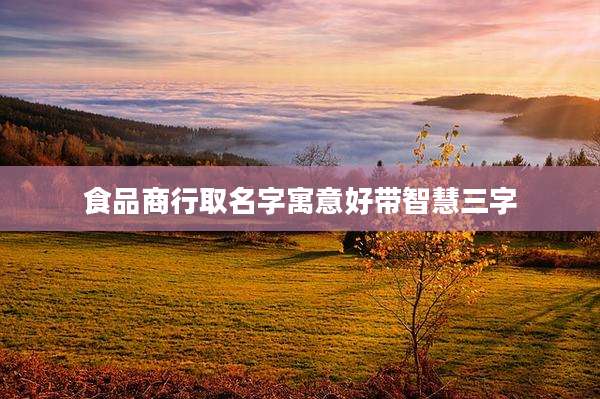 食品商行取名字寓意好带智慧三字