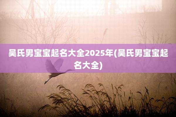 吴氏男宝宝起名大全2025年(吴氏男宝宝起名大全)