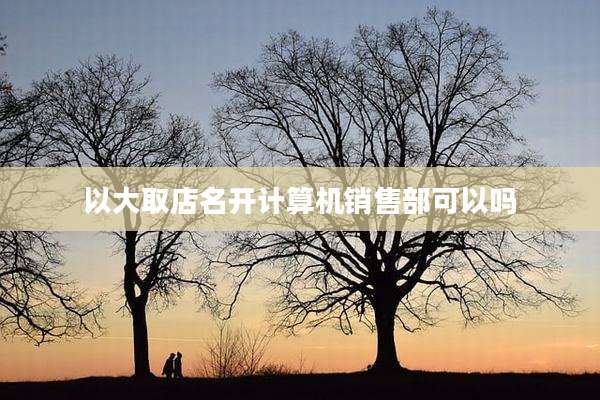 以大取店名开计算机销售部可以吗