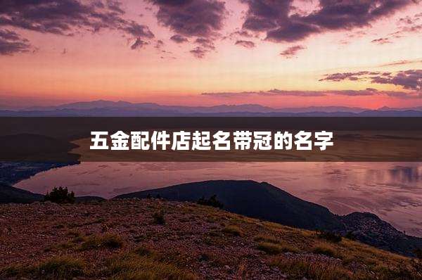 五金配件店起名带冠的名字