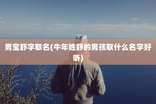 男宝舒字取名(牛年姓舒的男孩取什么名字好听)