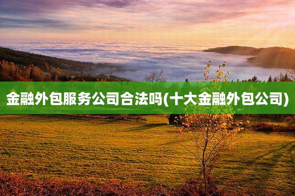 金融外包服务公司合法吗(十大金融外包公司)