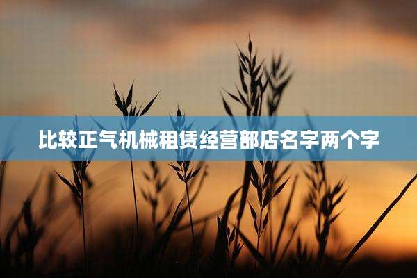 比较正气机械租赁经营部店名字两个字