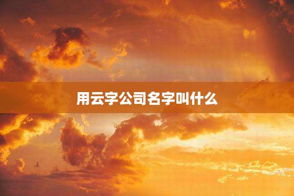用云字公司名字叫什么