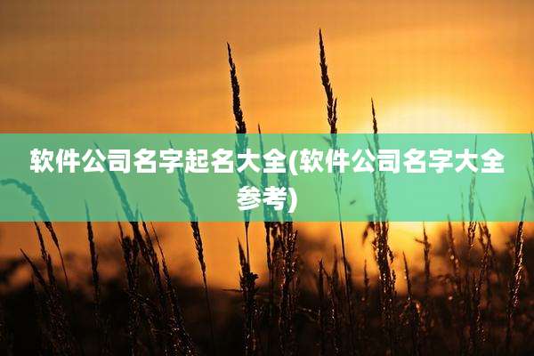 软件公司名字起名大全(软件公司名字大全参考)
