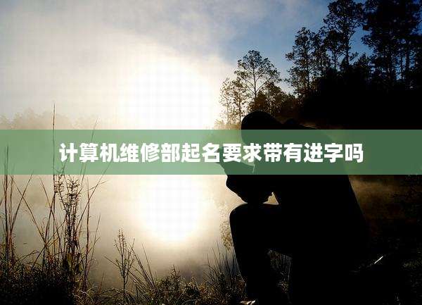 计算机维修部起名要求带有进字吗