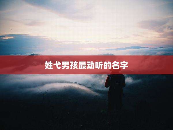 姓弋男孩最动听的名字