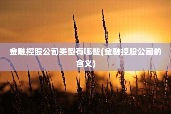 金融控股公司类型有哪些(金融控股公司的含义)