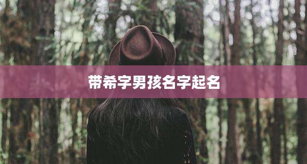 带希字男孩名字起名