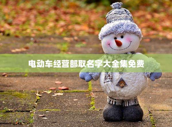 电动车经营部取名字大全集免费