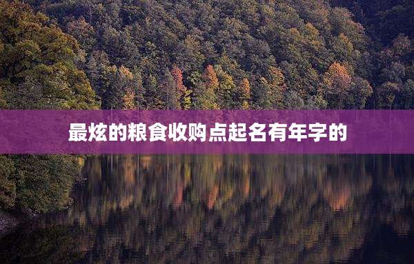 最炫的粮食收购点起名有年字的
