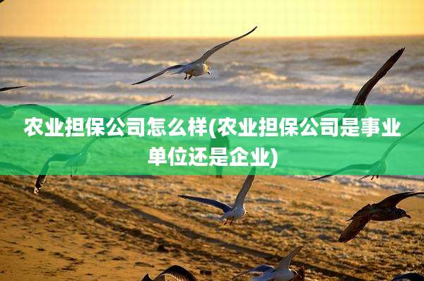 农业担保公司怎么样(农业担保公司是事业单位还是企业)