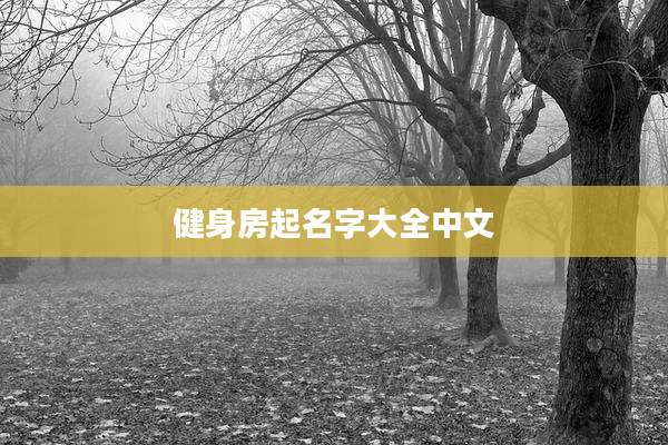 健身房起名字大全中文