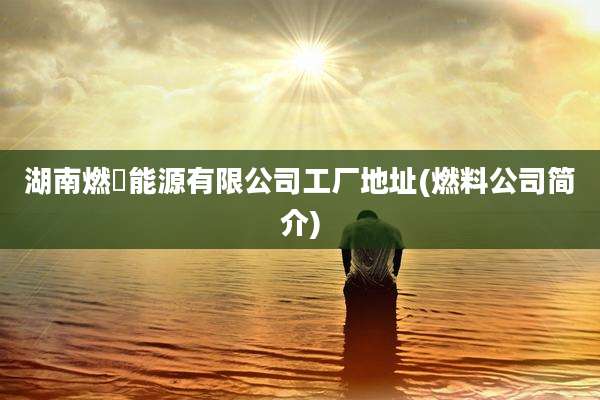 湖南燃燚能源有限公司工厂地址(燃料公司简介)