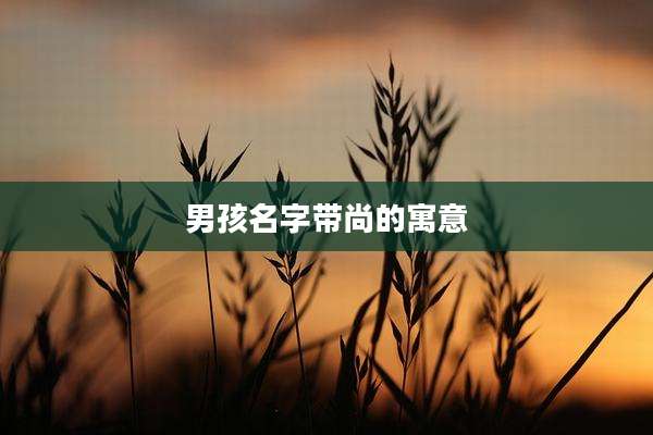 男孩名字带尚的寓意