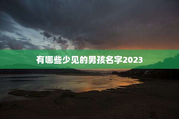 有哪些少见的男孩名字2023