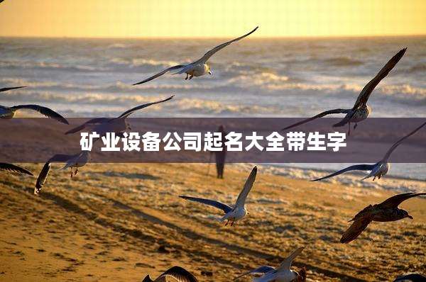 矿业设备公司起名大全带生字
