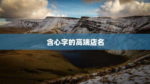 含心字的高端店名