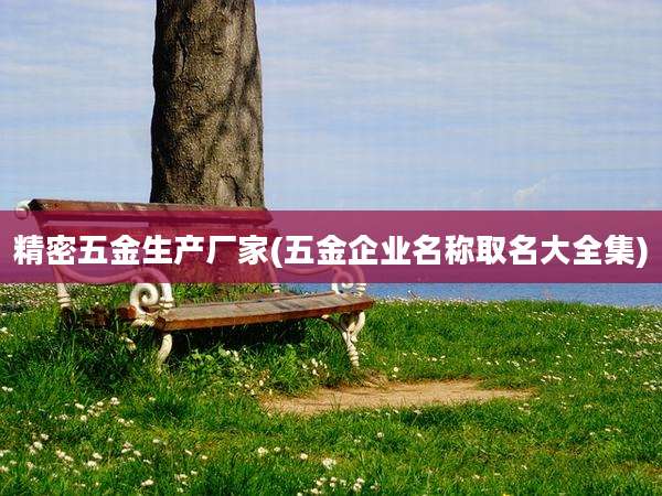 精密五金生产厂家(五金企业名称取名大全集)
