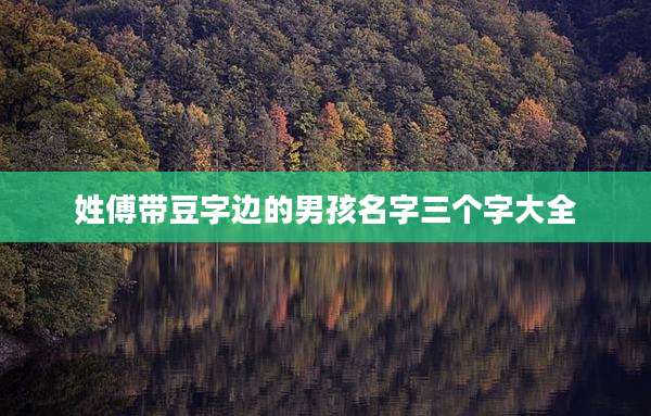 姓傅带豆字边的男孩名字三个字大全