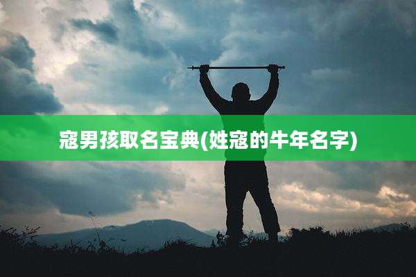 寇男孩取名宝典(姓寇的牛年名字)
