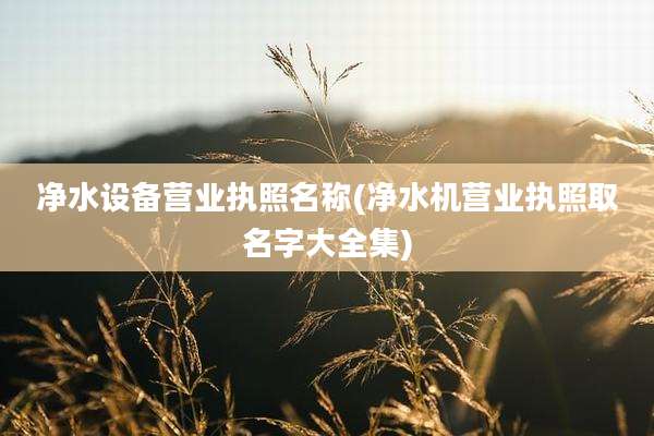 净水设备营业执照名称(净水机营业执照取名字大全集)