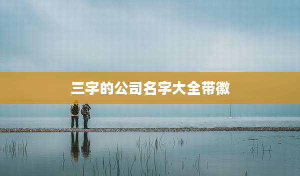 三字的公司名字大全带徽