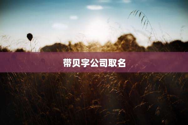 带贝字公司取名