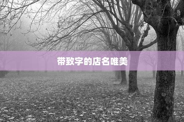 带致字的店名唯美