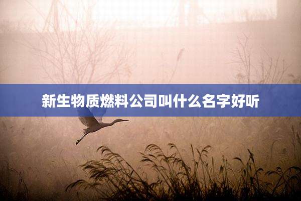 新生物质燃料公司叫什么名字好听