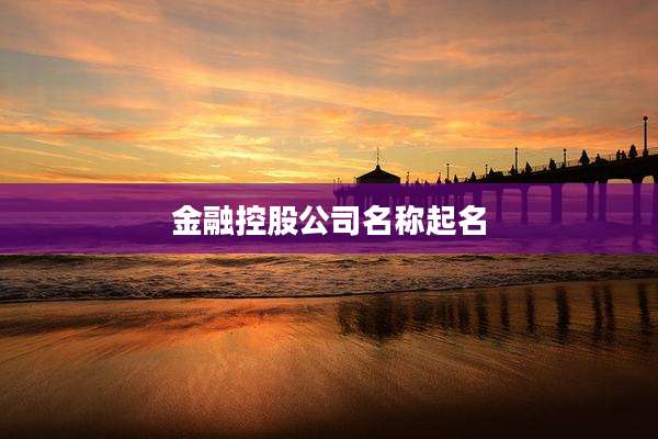 金融控股公司名称起名