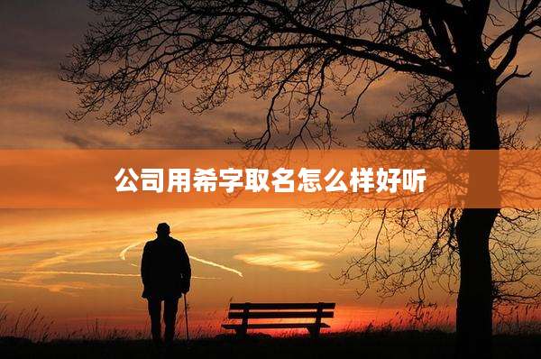 公司用希字取名怎么样好听