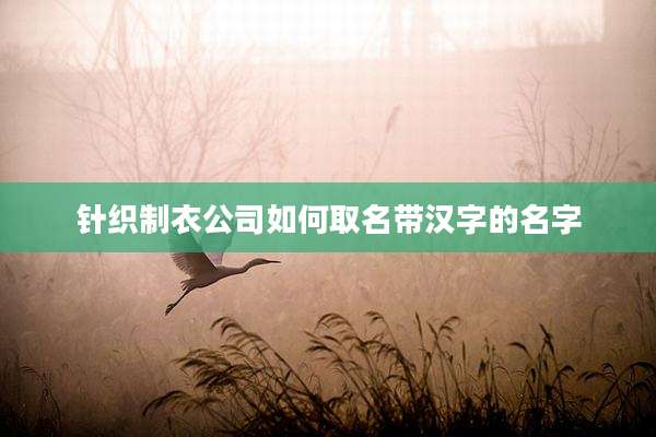 针织制衣公司如何取名带汉字的名字