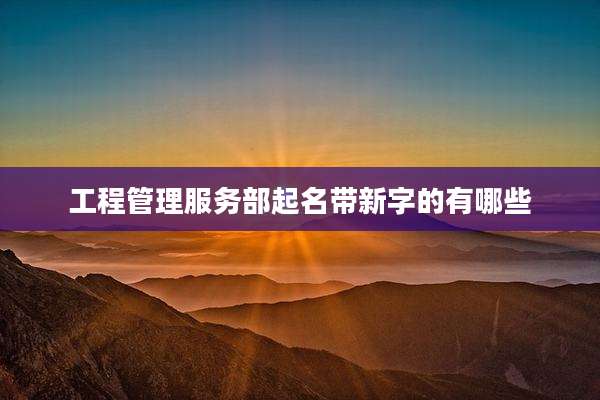 工程管理服务部起名带新字的有哪些
