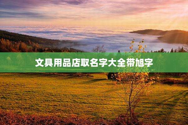 文具用品店取名字大全带旭字