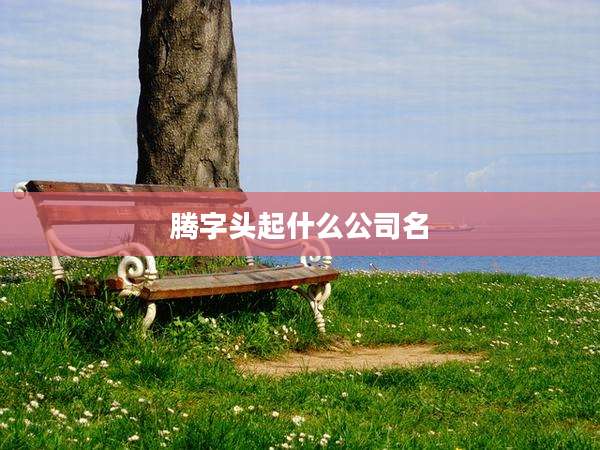 腾字头起什么公司名