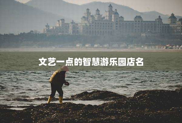 文艺一点的智慧游乐园店名